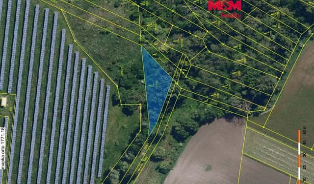 Prodej lesa 815 m², Šakvice, okres Břeclav
