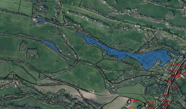 Prodej lesa 9 041 m², Heřmanov, okres Děčín