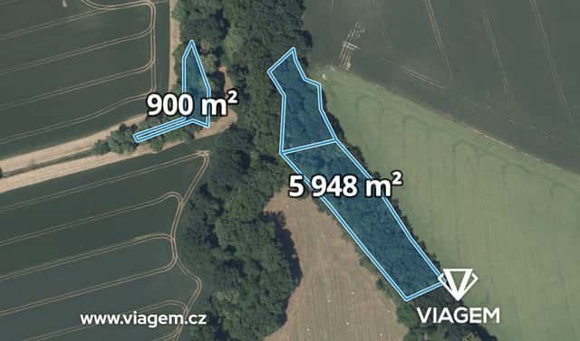 Prodej lesa 6 848 m², Nupaky, okres Praha-východ