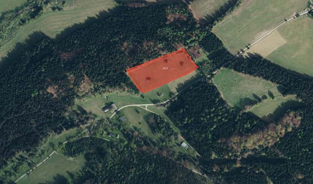 Prodej louky 14 935 m², Branná, okres Šumperk