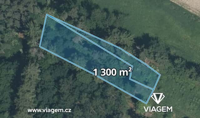 Prodej lesa 1 300 m², Sepekov, okres Písek