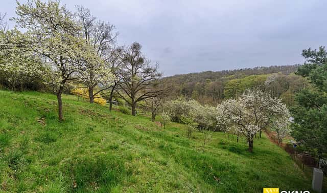 Prodej zahrady 1 459 m², Střelice, okres Brno-venkov