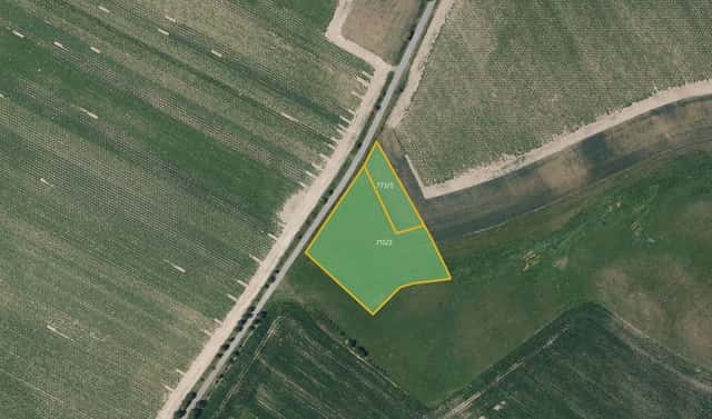 Prodej louky 6 872 m², Okrouhlice – Babice, okres Havlíčkův Brod