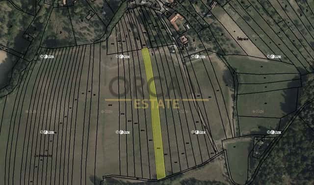 Prodej pole 2 524 m², Cetechovice, okres Kroměříž