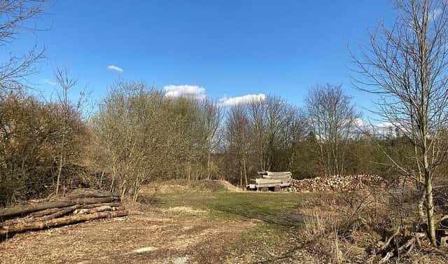 Prodej komerčního pozemku 3 666 m², Nová Říše, okres Jihlava