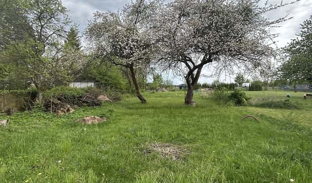 Prodej zahrady 874 m², Svitavy