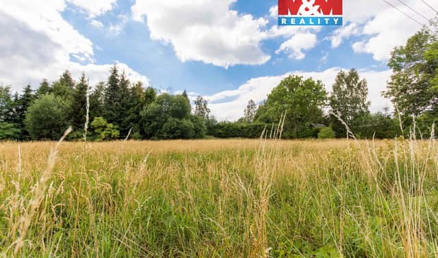 Prodej stavebního pozemku 2 903 m², Světlá Hora – Dětřichovice, okres Bruntál
