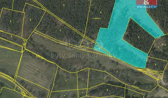 Prodej lesa 26 262 m², Přechovice, okres Strakonice