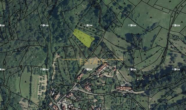Prodej pole 1 428 m², Nedašova Lhota, okres Zlín