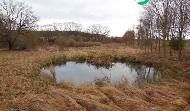 Prodej zahrady 6 745 m², Cebiv, okres Tachov