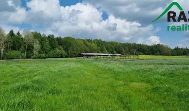Prodej pole 645 446 m², Hošťka, okres Tachov