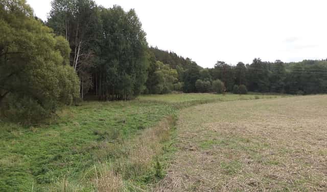 Prodej pole 58 887 m², Tachov