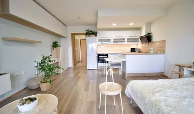 Pronájem bytu 1+kk 41 m², Slavonínská, Olomouc – Povel