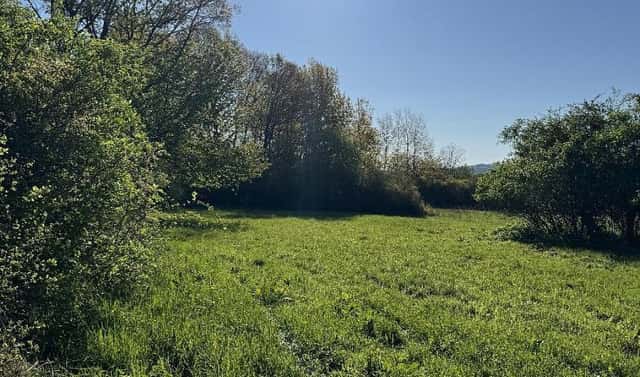 Prodej pozemku 20 250 m², Nýřany, okres Plzeň-sever