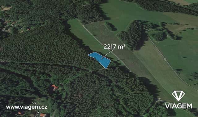 Prodej lesa 2 217 m², Loužnice, okres Jablonec nad Nisou