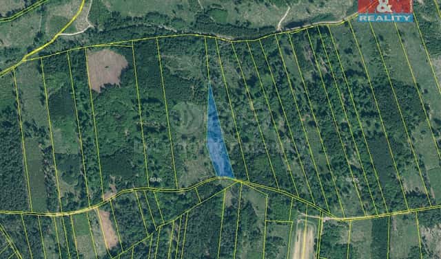 Prodej lesa 7 736 m², Jetětice, okres Písek