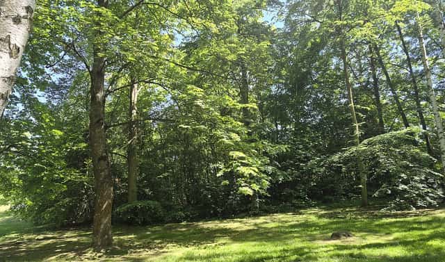 Prodej komerčního pozemku 1 080 m², Mohylová, Plzeň, okres Plzeň-město