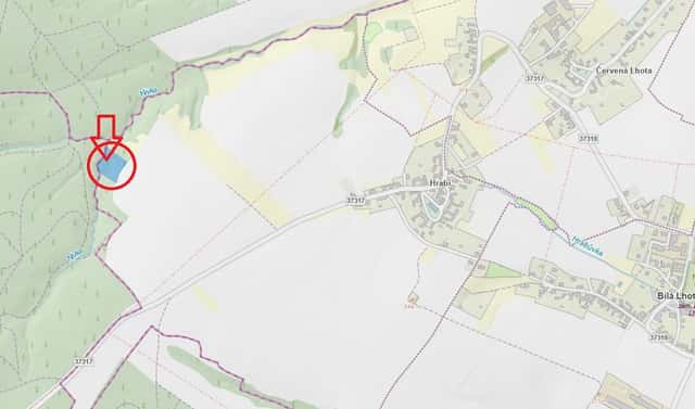 Prodej lesa 6 162 m², Palonín, okres Šumperk