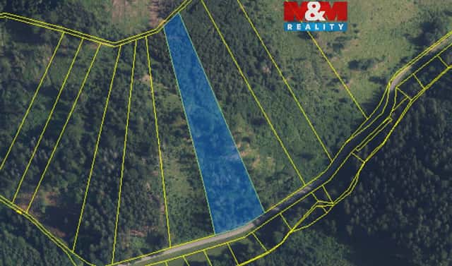 Prodej lesa 12 967 m², Nemile, okres Šumperk