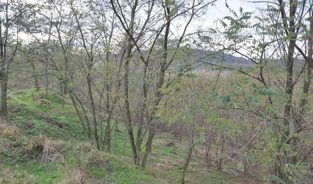 Prodej zahrady 10 731 m², Bechlín, okres Litoměřice