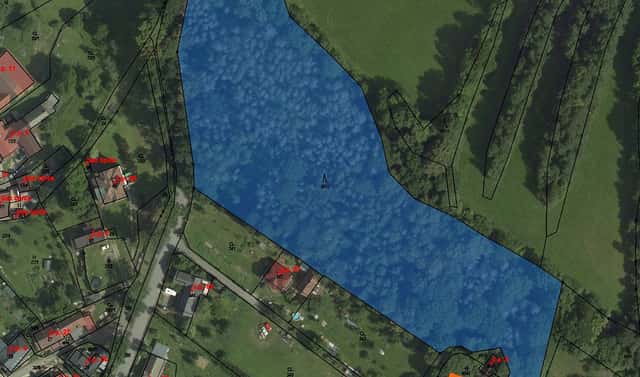 Prodej lesa 943 m², Prosetín, okres Žďár nad Sázavou