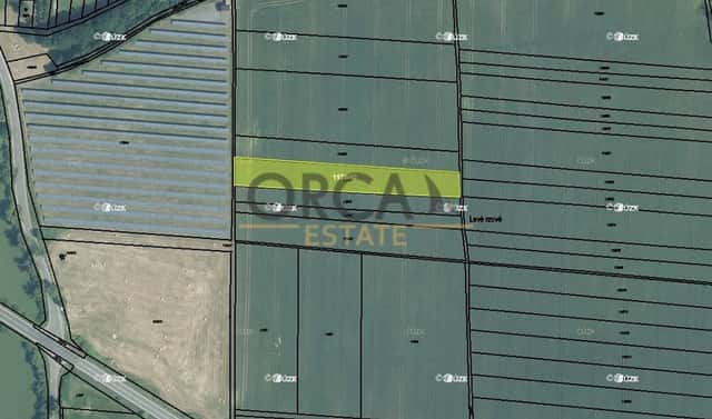 Prodej pole 1 685 m², Hustopeče nad Bečvou, okres Přerov