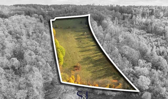 Prodej louky 37 727 m², Stvolínky – Stvolínecké Petrovice, okres Česká Lípa