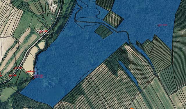 Prodej lesa 1 027 m², Žeravice, okres Hodonín