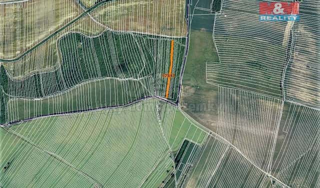 Prodej pole 1 162 m², Syrovín, okres Hodonín