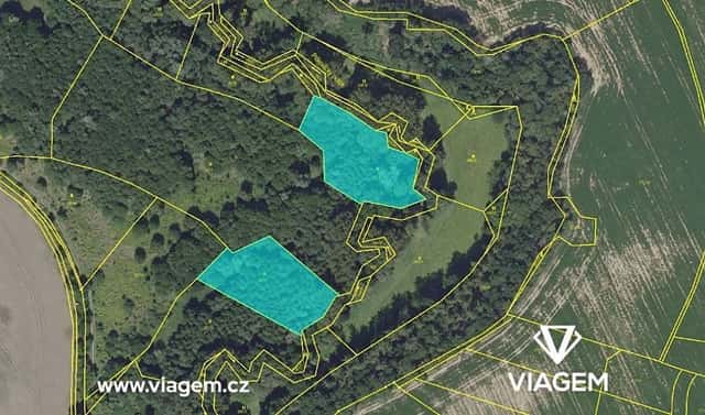 Prodej lesa 5 555 m², Praha 10
