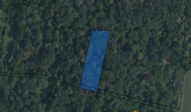 Prodej lesa 46 m², Plaňany, okres Kolín