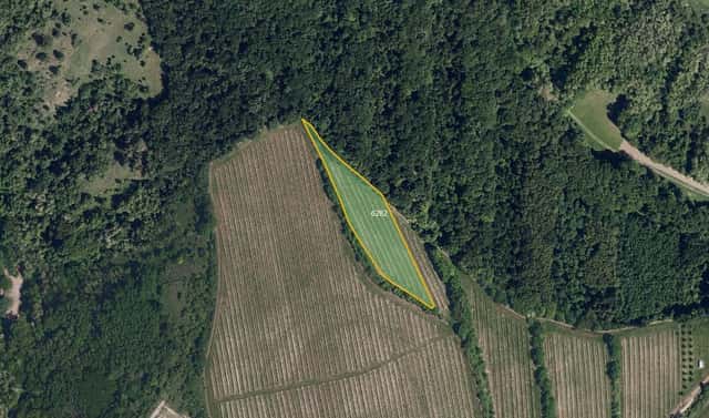 Prodej pole 6 109 m², Kobylí, okres Břeclav
