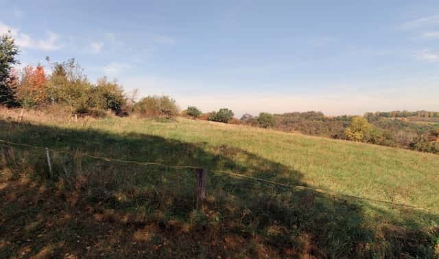 Prodej louky 87 548 m², Kouřim, okres Kolín