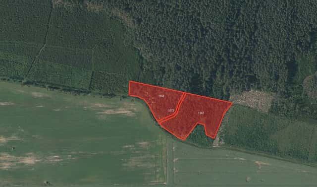 Prodej lesa 10 814 m², Plasy – Horní Hradiště, okres Plzeň-sever