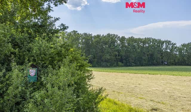 Prodej lesa 11 971 m², Bohuslavice, okres Náchod