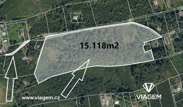 Prodej lesa 15 401 m², Frýdlant nad Ostravicí, okres Frýdek-Místek