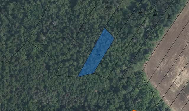 Prodej lesa 419 m², Medlice, okres Znojmo