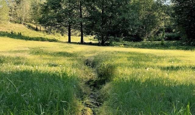 Prodej louky 6 838 m², Výprachtice, okres Ústí nad Orlicí