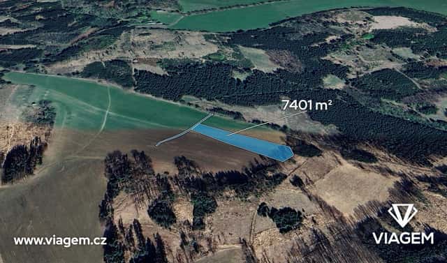 Prodej pole 446 m², Borotín, okres Tábor