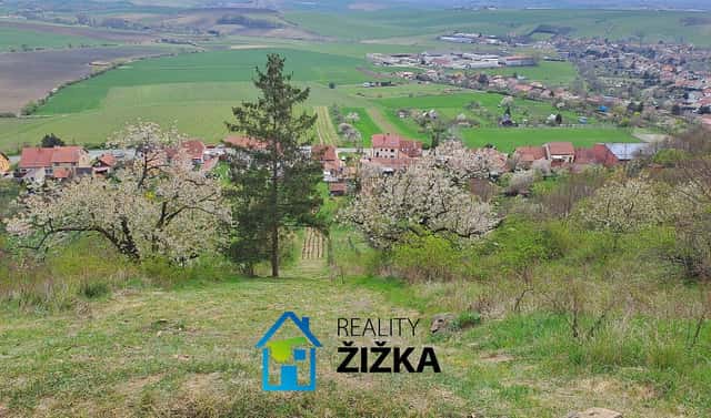 Prodej zahrady 942 m², Viničné Šumice, okres Brno-venkov