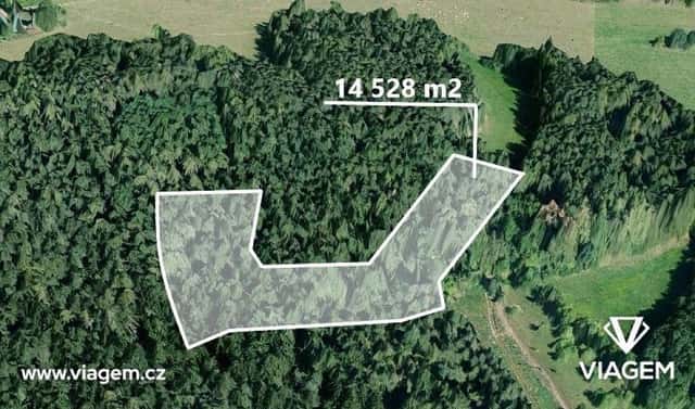 Prodej lesa 2 075 m², Volyně, okres Strakonice