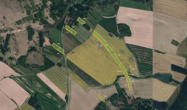 Prodej pole 19 885 m², Milešín, okres Žďár nad Sázavou