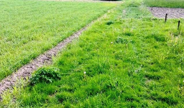 Prodej skladovacích prostor 6 000 m², Jižní, Mohelnice, okres Šumperk