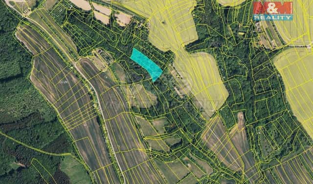 Prodej lesa 5 007 m², Traplice, okres Uherské Hradiště