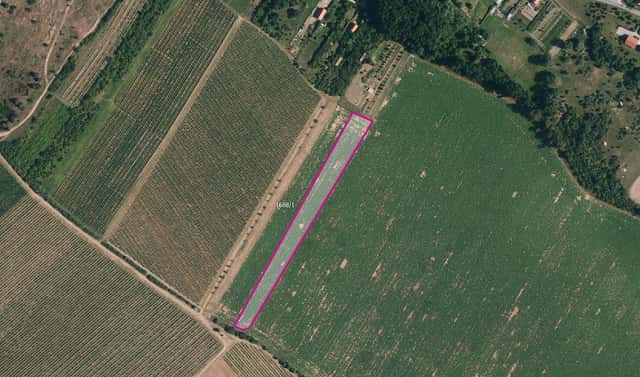 Prodej pole 7 141 m², Znojmo – Popice