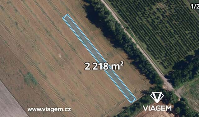 Prodej pole 629 m², Podivín, okres Břeclav