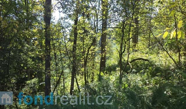 Prodej pole 10 225 m², Roztoky u Semil, okres Semily