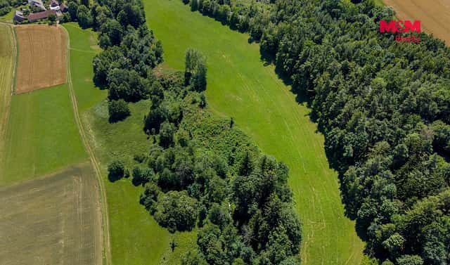 Prodej lesa 22 447 m², Bílá, okres Liberec