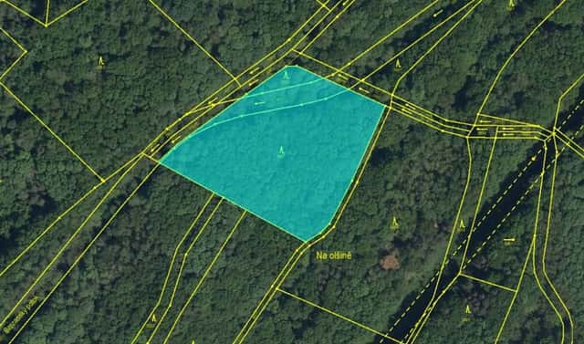 Prodej lesa 7 559 m², Nýřany, okres Plzeň-sever