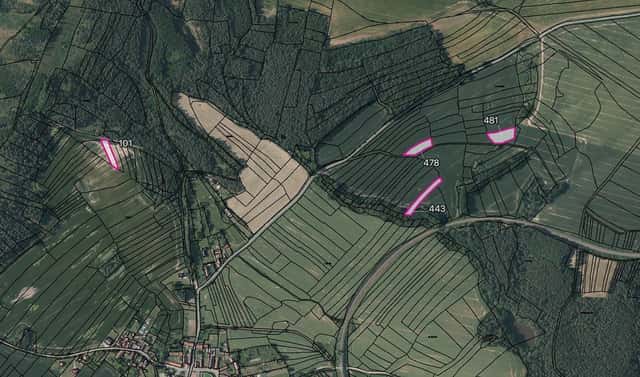 Prodej pole 6 117 m², Mladotice – Chrášťovice, okres Plzeň-sever